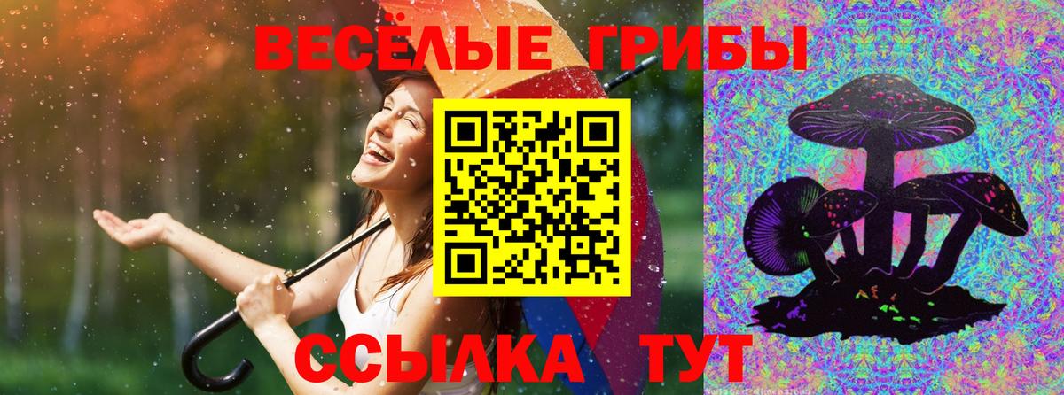 наркота  Вход с VPN  Черногорск  Галлюциногенные грибы мухоморы  Галлюциногенные грибы Cubensis 